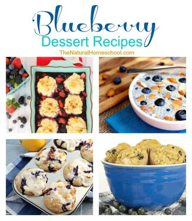Blueberry Dessert Recipes {Link Party #84}