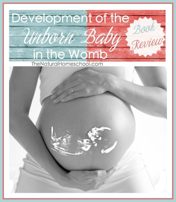 Development of the Unborn Baby in the Womb