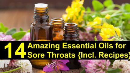 Take a look at what awesome essential oils this Thieves blend contains, 24 ways that you can use it and how you can order it.