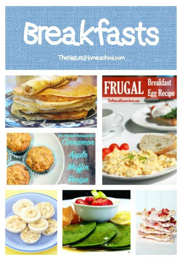 30+ of the Best Family Friendly Recipes - The Natural Homeschool