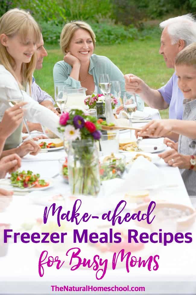 Make-ahead Freezer Meals Recipes for Busy Moms