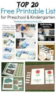 Top 20 Free Printables List for Preschool and Kindergarten - The ...