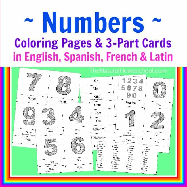 Number Coloring Pages & 3 Part Cards in 4 Languages {Printable}