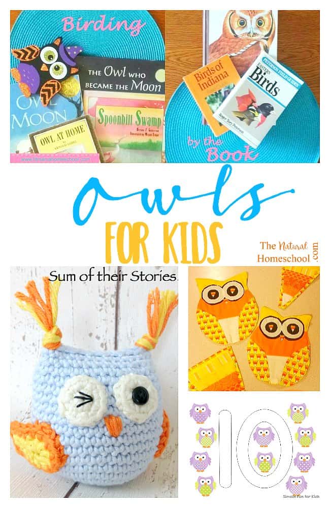 owls-for-kids