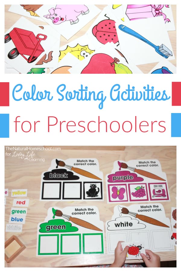 Enjoying learning is important, especially at this young age. So, for our unit on colors, we will share with you this set of awesome color sorting activities for preschoolers.