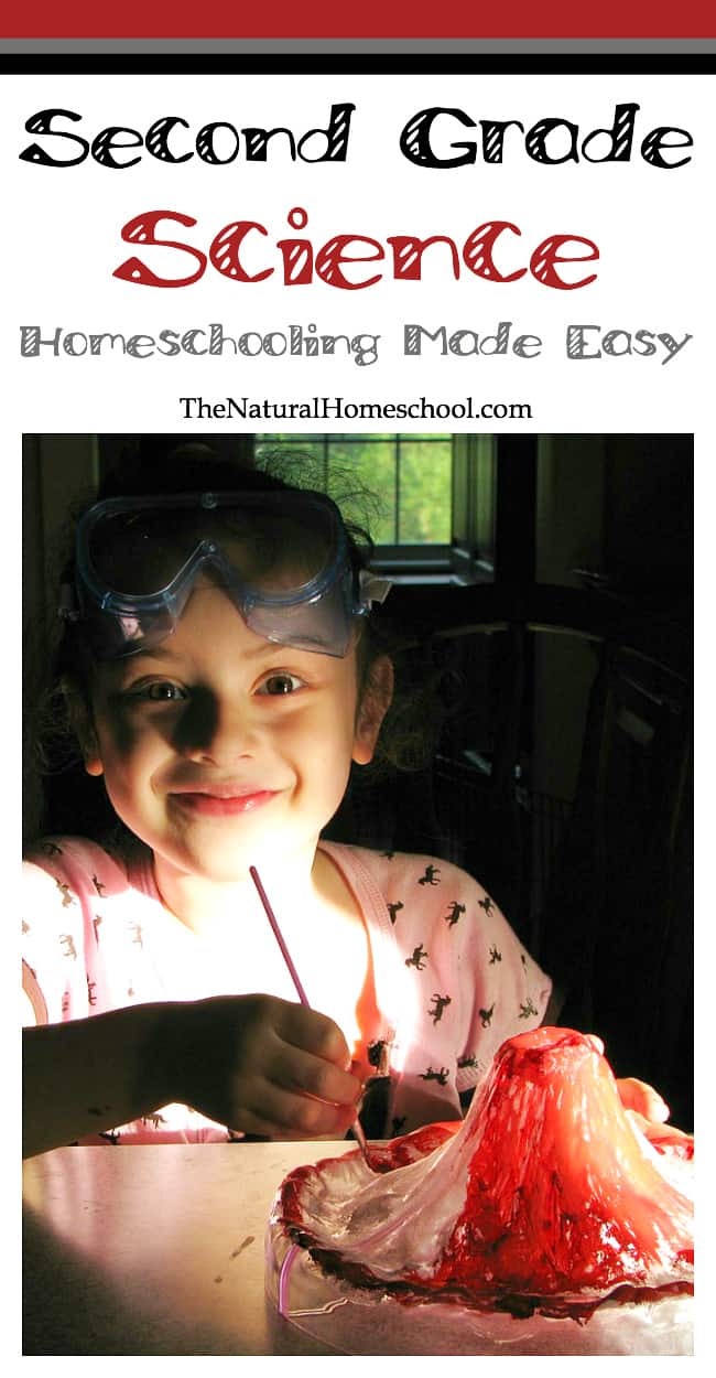 Here is our new installment of great resources for busy homeschooling moms! This time, it is our Second Grade Homeschooling Made Easy!