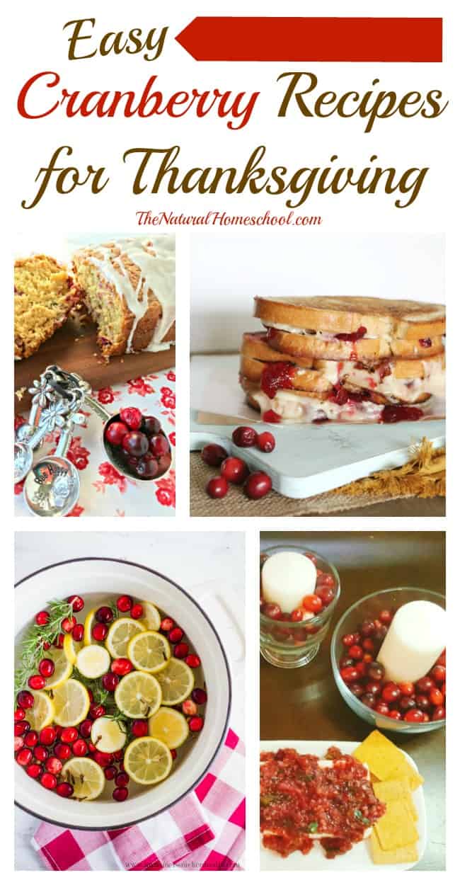 This is an awesome list of posts that bring you beautiful advice to make Easy Cranberry Recipes Thanksgiving a wonderful experience.