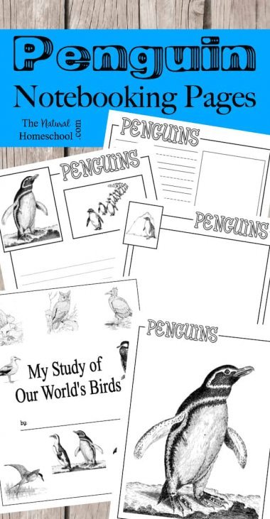 Penguin Books for Kids &amp; Activities {Printable Notebooking Pages} - The ...