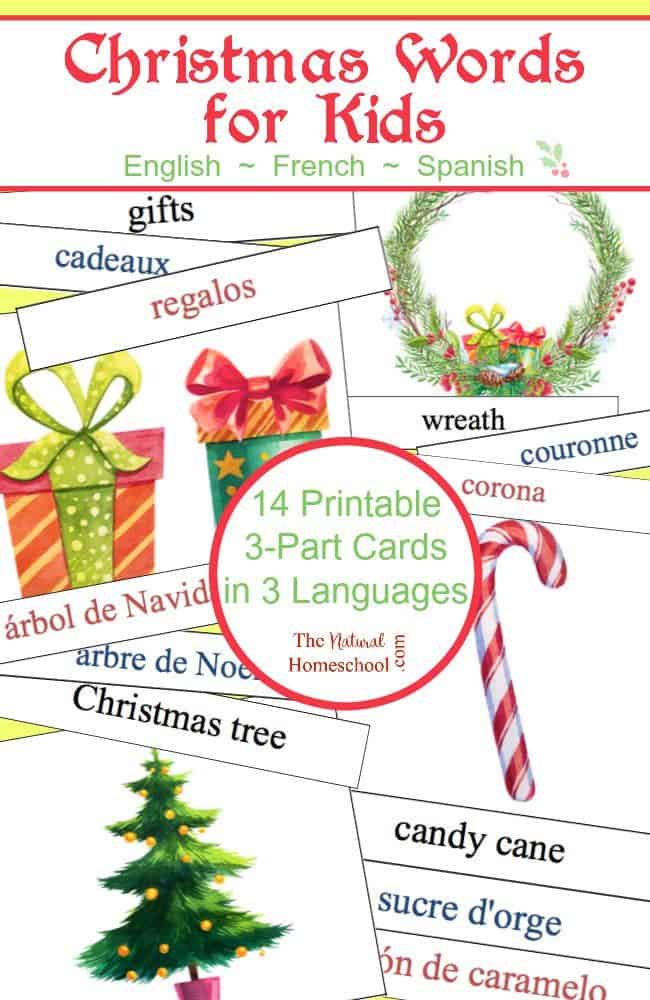 These Christmas words for kids cards are in 3 languages! They are set up in a set of printable 3-part cards to print and use to teach kids new seasonal words in English, French and Spanish!