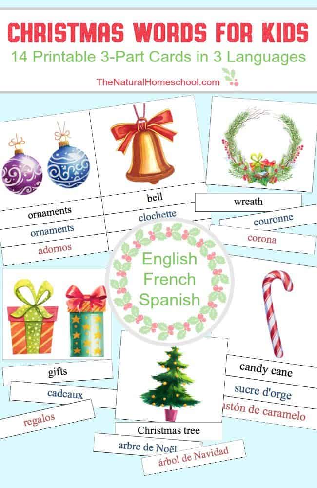 These Christmas words for kids cards are in 3 languages! They are set up in a set of printable 3-part cards to print and use to teach kids new seasonal words in English, French and Spanish!