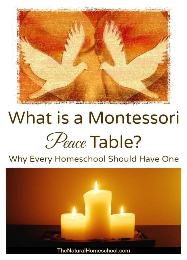 Have you heard of such a thing as a Montessori peace table? What in the world is that? How does it work and why is it important? But the one question you may be asking the most is "Why do you say that every homeschool should have a peace table?" Let me explain.