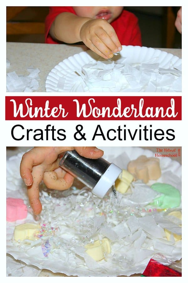 There is so much to do and so much to learn during Winter! In this post, you will see some Winter Wonderland crafts for kids of all ages. 