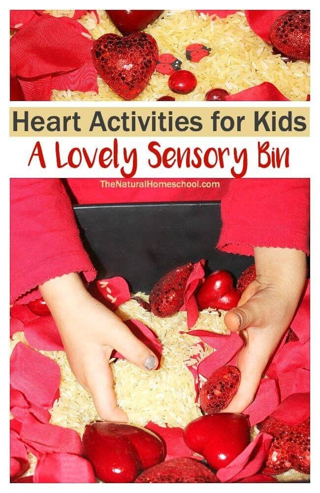 In this post, we will share some heart activities for kids that we love, especially, this lovely sensory bin that is perfect for Valentine's Day or for anytime.