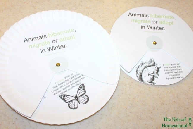 We have been leaning what Hibernation, Adaptation and Migration are, which animals do each and how their lives function during Winter. It has been amazing! :) Now, we make a printable craft to remind little ones what hibernation, adaptation and migration are at a glance. Get it here!