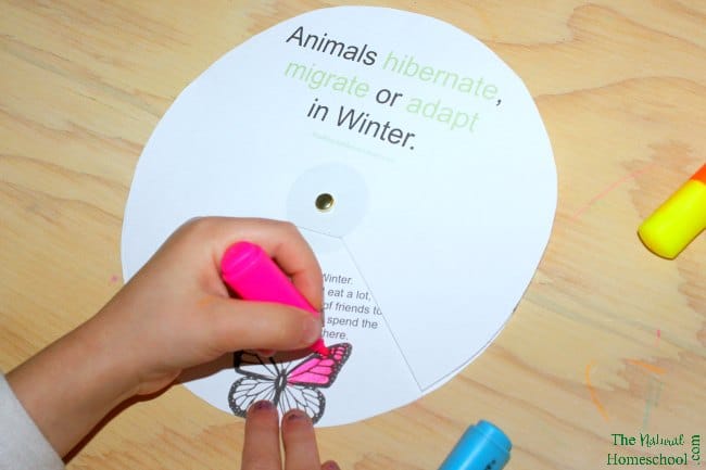 We have been leaning what Hibernation, Adaptation and Migration are, which animals do each and how their lives function during Winter. It has been amazing! :) Now, we make a printable craft to remind little ones what hibernation, adaptation and migration are at a glance. Get it here!