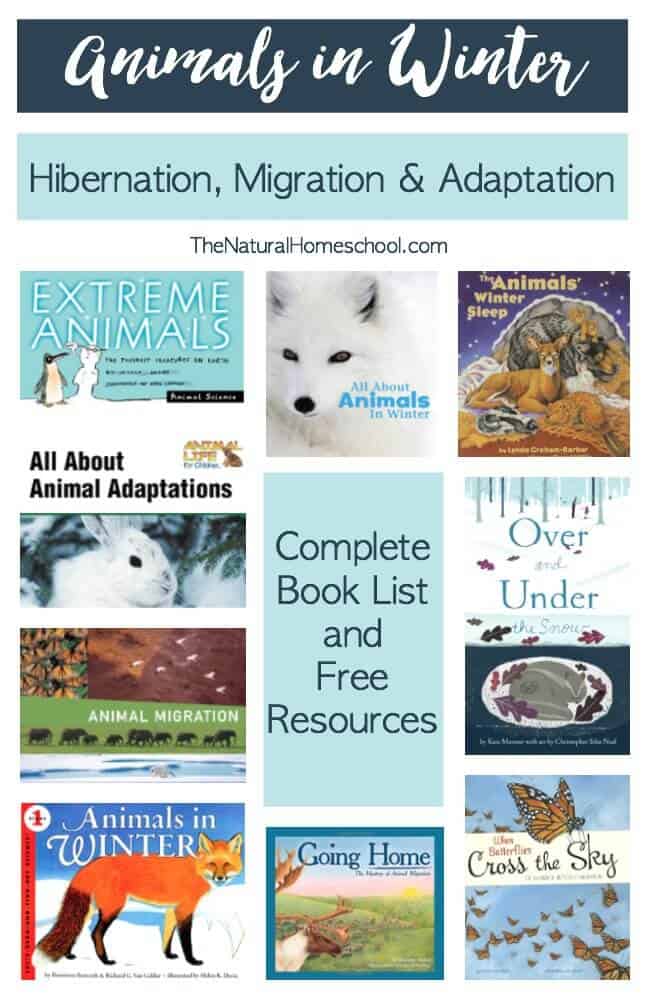 Hibernation, Adaptation and Migration Book List and Free Resources - The  Natural Homeschool
