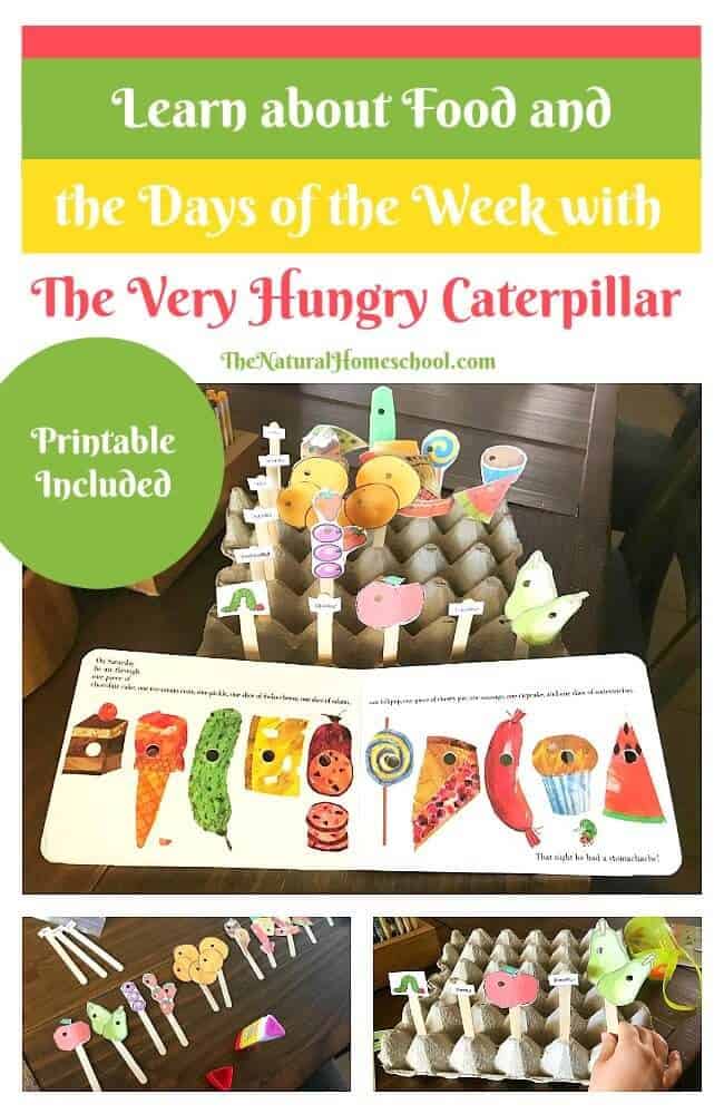 In this post, we will share with you a cute lesson I had with my daughter where we practiced the days of the week and food with The Very Hungry Caterpillar.