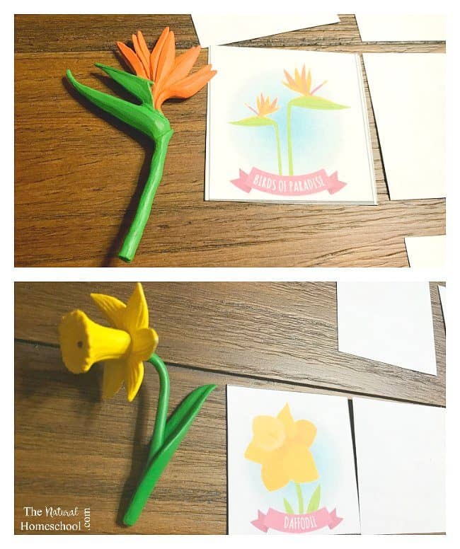 Well, here is a fantastic flower matching game printable for you to play with your kids right away!