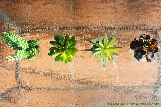 I love real plants inside the house and we have a dozen or so of those, but I'm going to be honest with you, realistic artificial house plants are the best, especially with bigger ones. Take a look at ours!