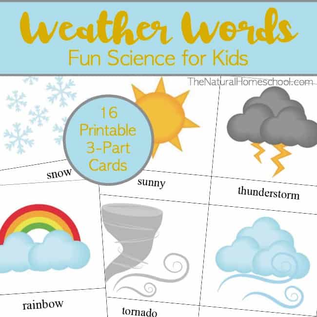 Take a look at these fun weather words for kids cards and print them out for you to teach your littles about the weather.