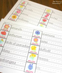 Handwriting Flower Activities for Kids {Montessori-Inspired Printable ...