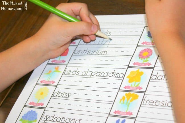 Here are some excellent Handwriting Flower Activities for Kids {a Montessori-Inspired Printable} that goes with our Flower Memory Games for Kids. I hope your littles enjoy it as much as mine does.