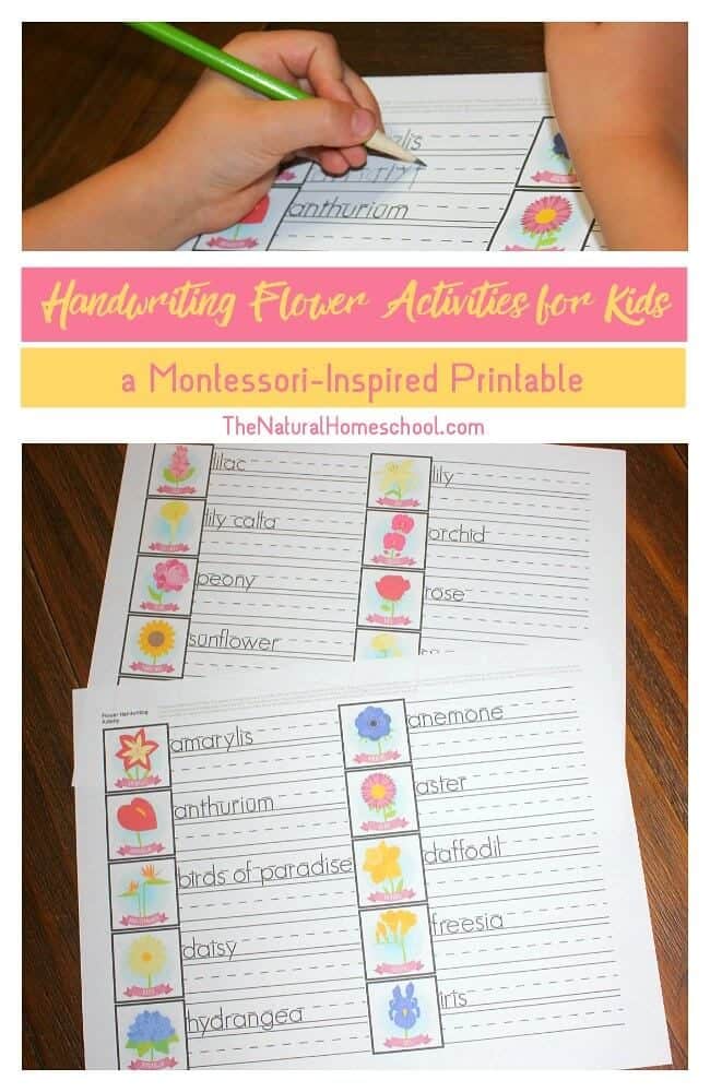 Here are some excellent Handwriting Flower Activities for Kids {a Montessori-Inspired Printable} that goes with our Flower Memory Games for Kids. I hope your littles enjoy it as much as mine does.