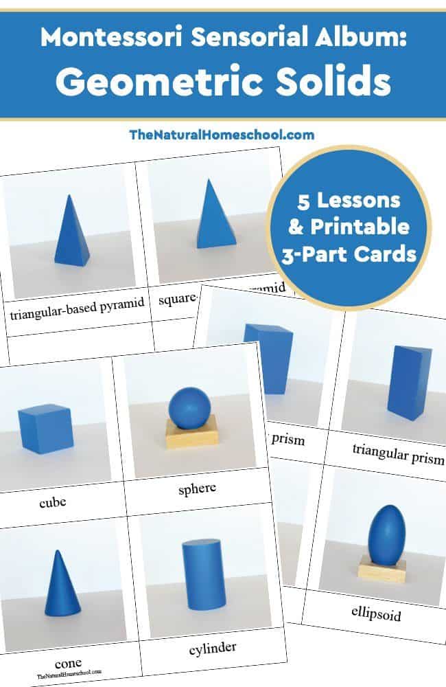 Montessori Geometric Solids 3 Parts Cards 