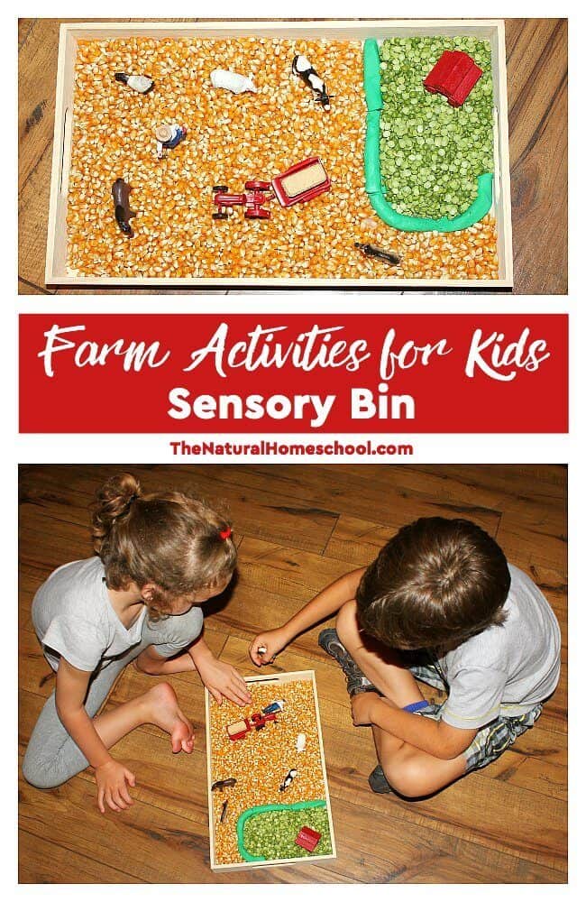 In this post, we will show you some wonderful farm activities for kids! It was so much fun playing with this sensory bin and other great farm activities!