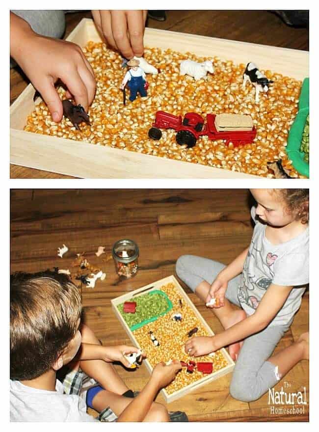 In this post, we will show you some wonderful farm activities for kids! It was so much fun playing with this sensory bin and other great farm activities!