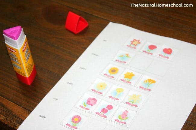 We have been having a lot of fun with our flower activities for kids series! We have flower matching memory cards and flower handwriting worksheets. Now, we have a fun color sorting activity.