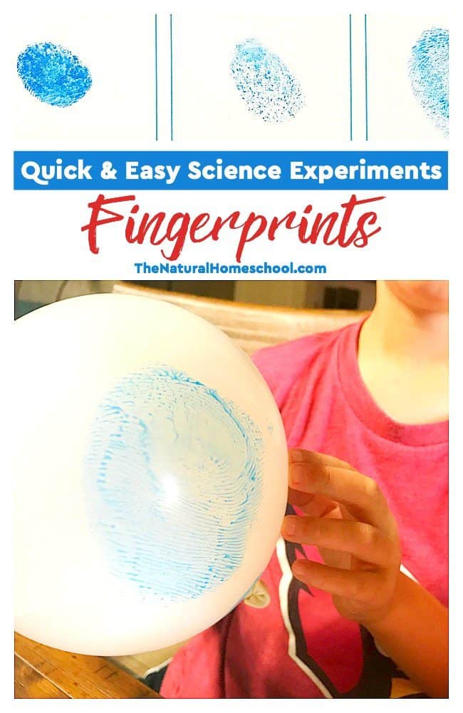 We have been loving our Science activities lately. The quick and easy Science experiments we have been doing have been full of educational concepts and my kids just think that they're fun Summer activities to keep them entertained.