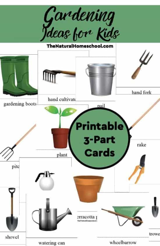 Gardening Ideas for Kids - Printable 3-Part Cards - The Natural Homeschool