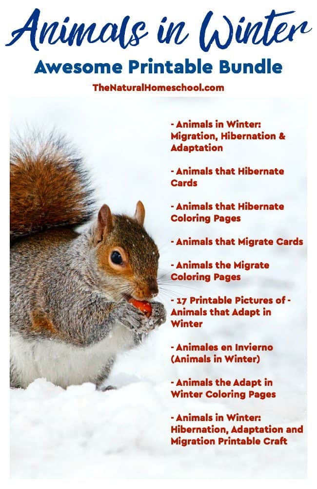 Animals in Winter - Awesome Printable Bundle - The Natural Homeschool
