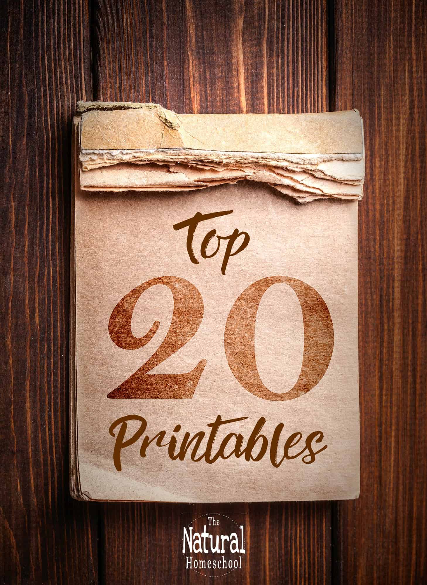 Top 20 Printables from The Natural Homeschool 2017 - The Natural Homeschool