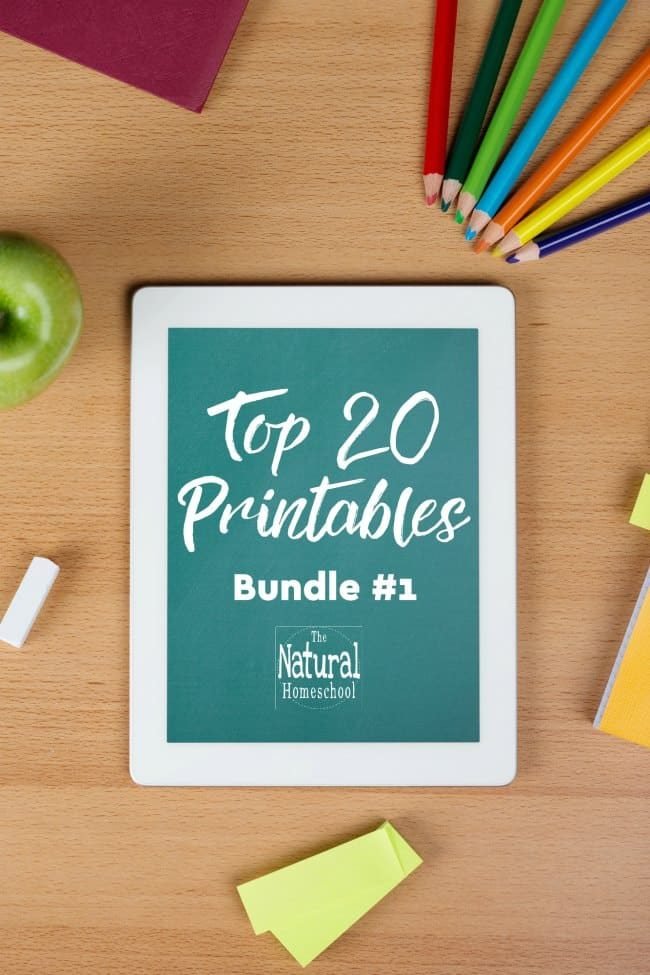 We have finally put together our top 20 printables that are the most popular and most downloaded sets so far! It is an amazing bundle! Come and take a look!