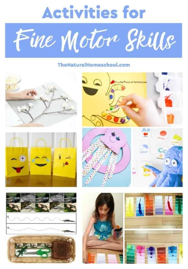 This is a great list of posts that bring you beautiful advice to make Helpful Activities for Fine Motor Skills a wonderful experience. Include your children in the reading. What do they think?