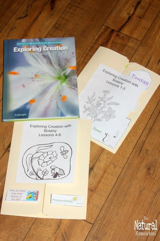 Take a look at how I am planning on using these Botany projects for kids this year to keep learning fun!