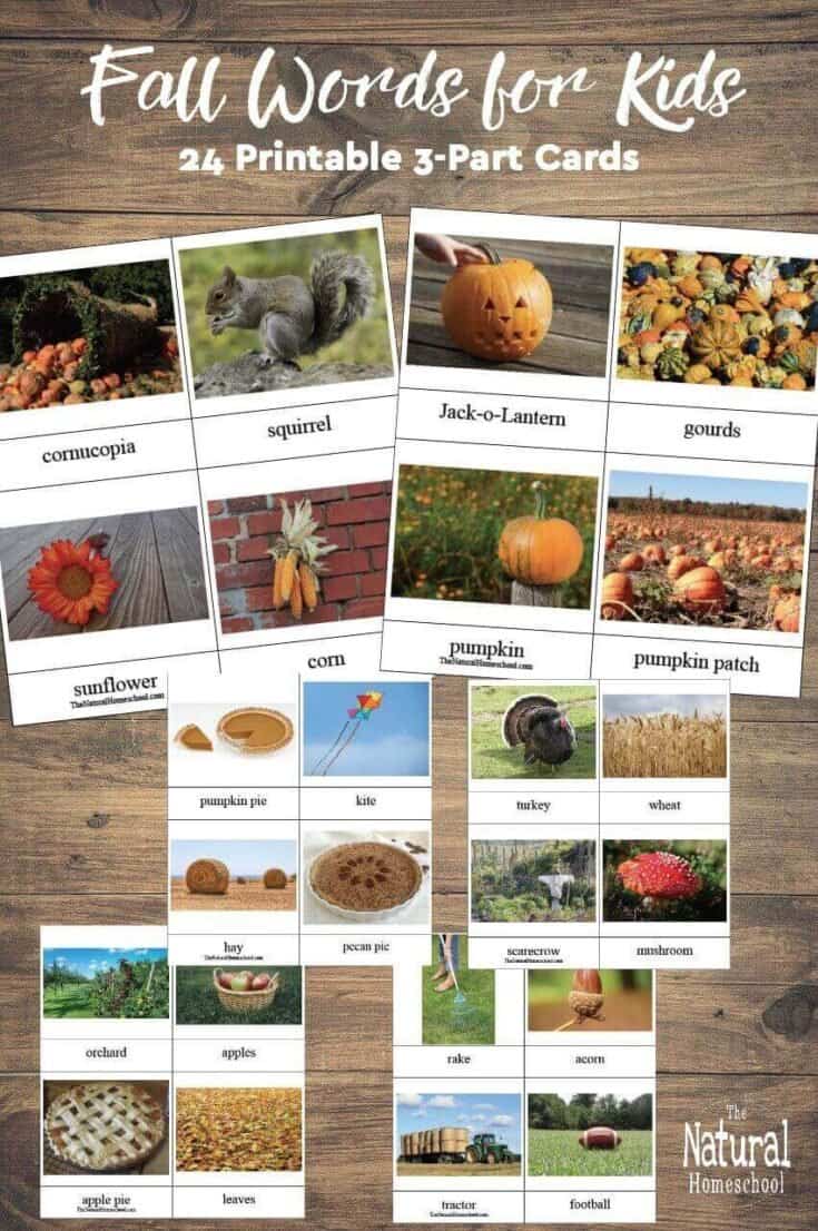 Fall Words for Kids - 24 Printable 3-Part Cards