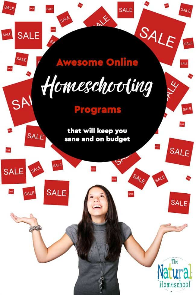 We are so excited to be starting our homeschool year soon and since I've been looking around for the best programs and deals out there, I couldn't wait to share with you what I found.