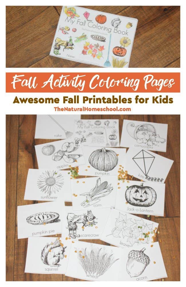 In this post, we are absolutely happy to share with you some beautiful Fall printables for kids! It is a set of awesome Fall Activity Coloring Pages that will help introduce children to Fall words, they will help practice their fine motor skills, will be a great seasonal Art activity and also make a nice booklet out of them.