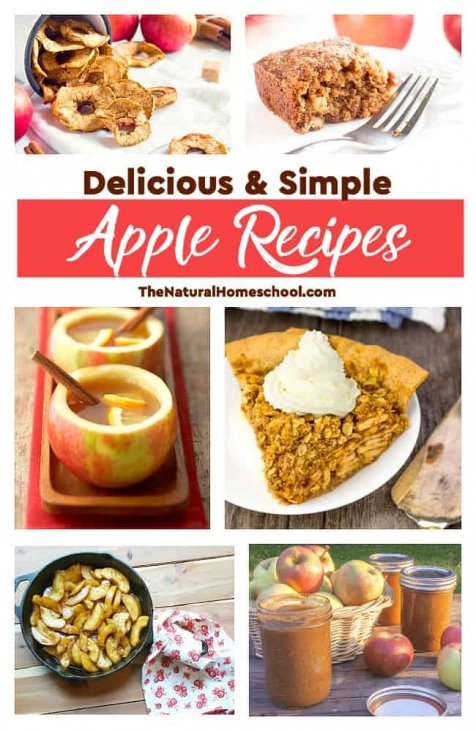 Fall Recipes for Kids - Creative Treats - The Natural Homeschool