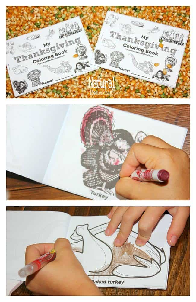 In this bundle of coloring pages for kids, we have 32 sets of 265 printable pages total. We have 8 sets for each of the four seasons.