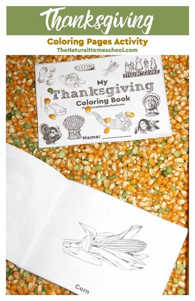 Thanksgiving is also a special holiday that we celebrate in Fall. In this post, we share a wonderful printable Thanksgiving Coloring Pages Activity that your kids will love!