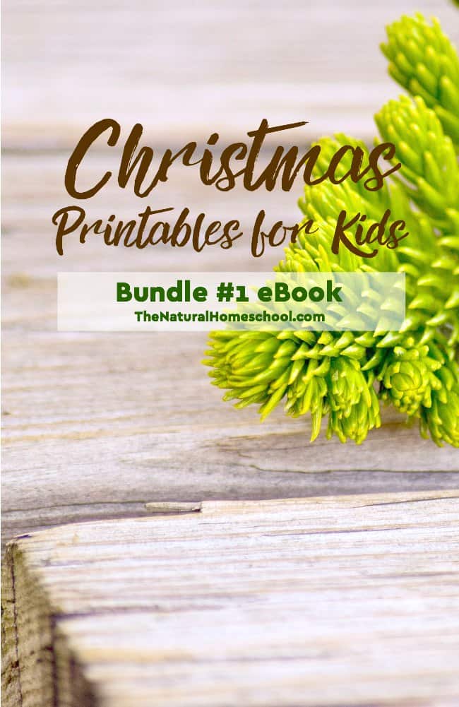 What an excellent set of Christmas Printables for Kids! Come take a look at how much kids will love these activities! Your eBook comes with all the lessons, all the ideas and all the printables!