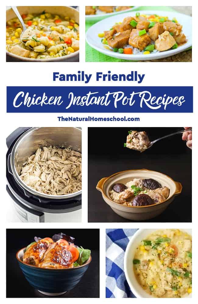 In this post, we have a fantastic list of family friendly chicken Instant Pot recipes that you and your whole family will LOVE!
