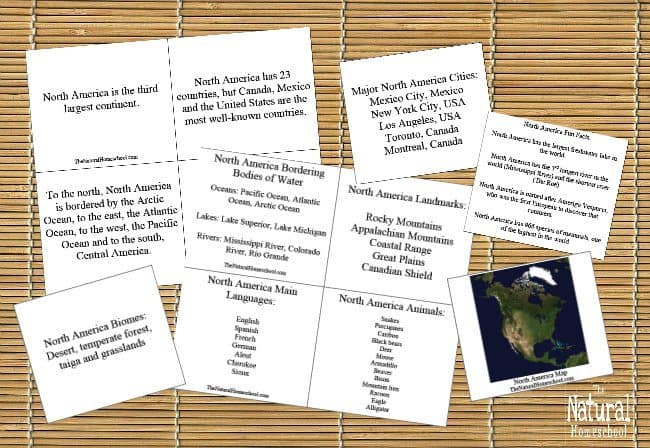 There are 8 sets on these North America countries with a total of about 12 activities (a total of 40 pages).