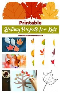 Printable Botany Projects for Kids and Learning Leaf Activities - The ...