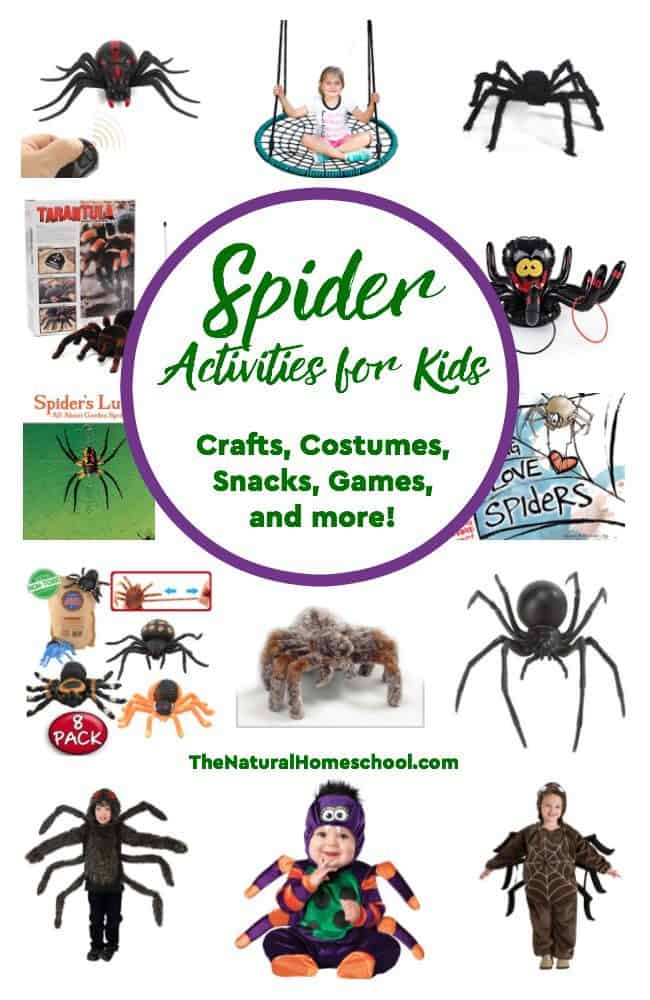 We have been studying spiders! It has been a lot of fun! So let us share with you some fantastic spider books for kids! We are also sharing a list of spider activities, costumes, snacks, games and toys!
