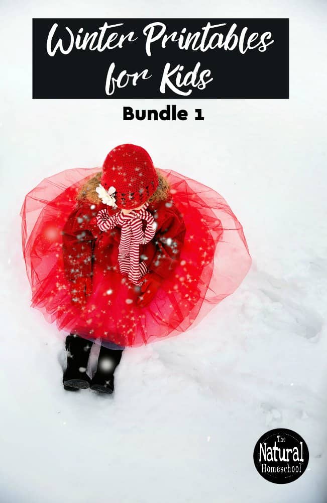 Here, you will have a chance to see our awesome Winter Printables for Kids - Bundle 1 set! Take a look at what this includes and get it for your kids today!
